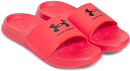 Шлепанцы мужские