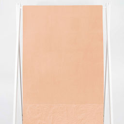 6с102.411ж1 Эмма (1-неж.оранж) Полотенце махровое 67х150см