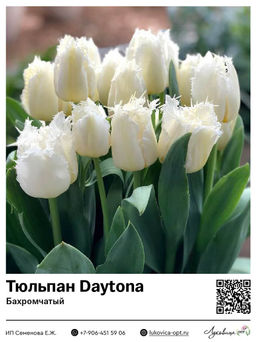 9878892b2c4f7e5c451e1581b059092c3vujt394nbmaqhejry