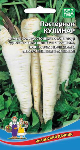 Пастернак КУЛИНАР Самый холодостойкий корнеплод! Одновременно является овощным, пряно-ароматическим и лекарственным растением!