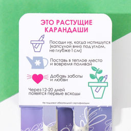 Набор для выращивания, карандаши подарочные «Базилик + Мята», mini, простые чернографитные, 2 шт.