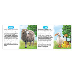 Обучающая книжка Домашние животные, 18 животных - Буква-ленд фото 2
