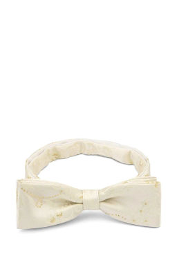 Галстук-бабочка мужской CASINO Casino-poly-wedding 512.1.431