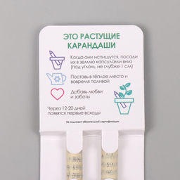 Набор для выращивания, карандаши подарочные «Ромашка + Лаванда», mini, простые чернографитные, 2 шт.