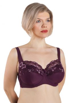 2173 Бюстгальтер т.виноград