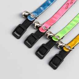 Ошейник светоотражающий Следы лапок, 29 х 1 см, микс цветов - Пижон фото 4