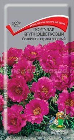 Портулак крупноцветковый Солнечная страна розовый (ЦВ) (1) 0,1гр.