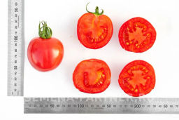 Томат Розовый Шар - Партнер фото 7