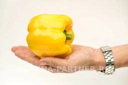 Перец сладкий Тавиньяно - Партнер фото 6