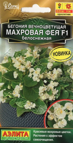 Бегония Фея F1 вечноцветущая махровая белоснежная 5шт. (Аэлита)