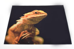 САЛФЕТКА №17