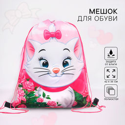 Мешок для обуви 420×330 мм, «Кошечка Мари, Коты аристократы»