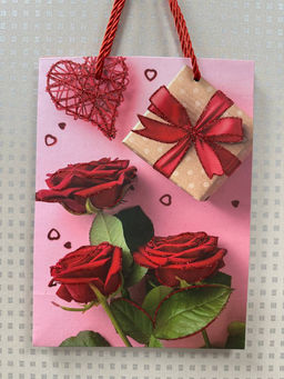 Подарочные пакеты (в ассортименте) (18*24*8,5см) (3667) - Мой органайзер фото 2