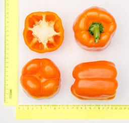 Перец сладкий Аллар - Партнер фото 4