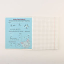 Тетради предметные, 48 л., А5, набор из 4 шт. «Персонажи»