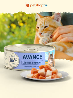 Консервы для котят и кошек с лососем, минтаем и треской, Natural&Healthy Salmon, Pollock&Cod 20рр10