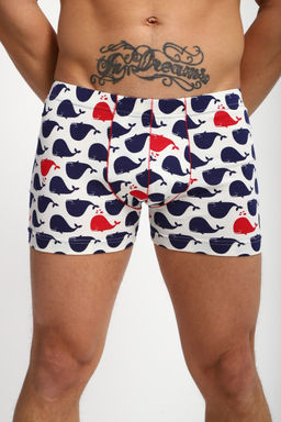 Трусы мужские 74401