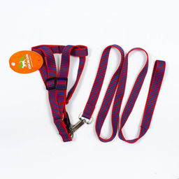 Комплект амуниции рельефный, поводок 120 х 2 см, ОГ 44-50 см, красно-синий - Пижон фото 7