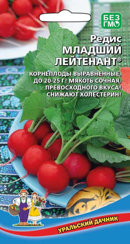 Редис МЛАДШИЙ ЛЕЙТЕНАНТ