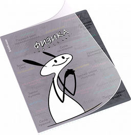 Цена за 5 шт. Тетрадь общая ученическая с пластиковой обложкой на скобе ErichKrause Чубрик, Физика, 48 листов, клетка