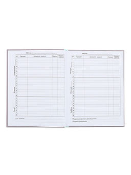 Цена за 2 шт. Дневник универсальный для 1-11 классов, «Котята», твердая обложка 7БЦ, глянцевая ламинация, 40 листов