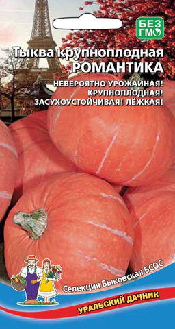 Тыква РОМАНТИКА  Невероятно урожайная! Засухоустойчивая! Хорошо хранится!