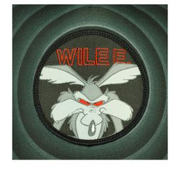 Бейсболка CAPSLAB арт. CL/LOO3/1/WIL2 Looney Tunes Wile E. Coyote (черный) фото 3