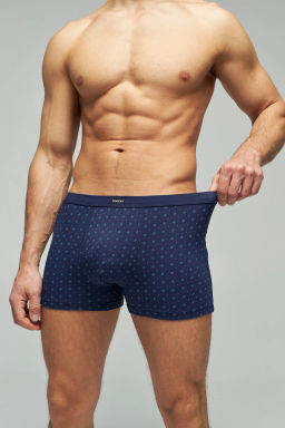 Трусы мужские боксеры Rogers 8638 модал, эластан размеры 3XL, 4XL, 5XL  фото 9