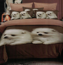 КПБ Candies Future CANFU029 2 спальный