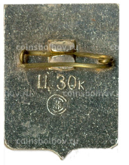 Значок Новосибирск