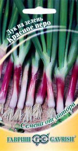 Красное перо лук на зелень 1гр (г)