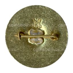 Значок Международное экономическое объединение Домохим