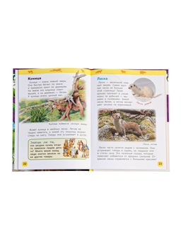 Цена за 2 шт. Детская энциклопедия «Дикие животные», 48 стр.