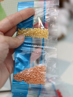 Алмазная мозаика на подрамнике Draw Me! Beautiful bear, (20*20 см)