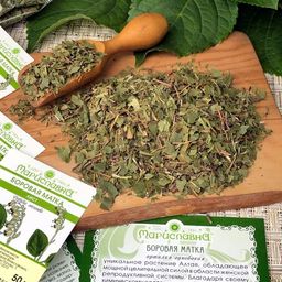Боровая матка (лист) - Мариславна фото 3
