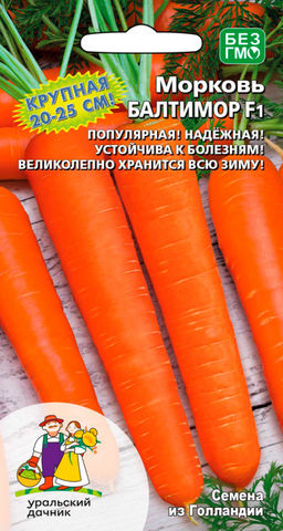 Морковь БАЛТИМОР F1  крупная, до 20-25 см! Популярная! Надёжная! Устойчива к болезням и вредителям!