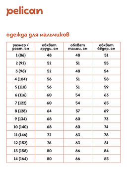 BFXK3352 Куртка для мальчиков