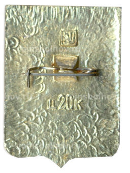 Значок Наровчат