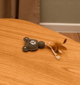 Игрушка для кошек, шарик из кошачьей мяты с игрушкой и перьями, 15 см. WPS205