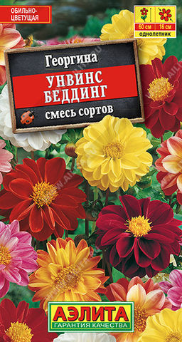 Георгина Унвинс Беддинг, смесь сортов (2028