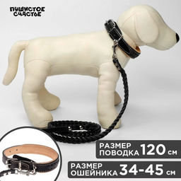 Комплект ошейник (34-45х2 см) и поводок (120х0.8 см) с косой, чёрный с бежевым
