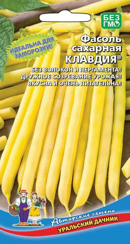 Фасоль КЛАВДИЯ  Сахарная, без волокон и пергамента! Дружное созревание урожая!