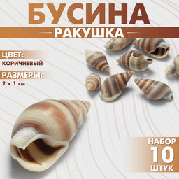 Цена за 3 шт. Бусины для творчества «Ракушка», 2×1 см, завиток, набор 10 шт., коричневые