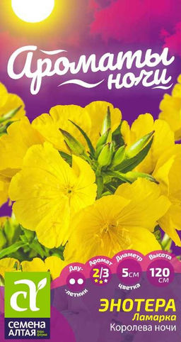 Цветы Энотера ламарка Королева ночи/Сем Алт/цп 0,1 г. двулетник Ароматы ночи