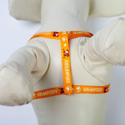 Комплект Любимчик, шлейка 24-34 см, поводок 120х1 см - Пушистое счастье фото 7