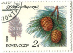 Марка Кедр сибирский 1980 год