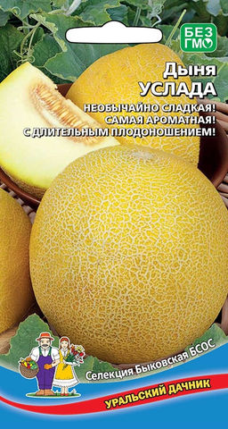 Дыня УСЛАДА  Необычайно сладкая! Самая ароматная! С множеством плодов!