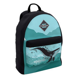 Цена за 1 шт. Рюкзак ErichKrause EasyLine® 17L Moon Dreams