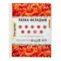 Файл - вкладыш Calligrata, А4, 60 мкм, плотный, глянцевый, вертикальный, 100 штук  фото 2