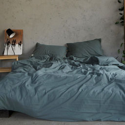 Постельное бельё Этель 2 сп, размер 180х210 см, 220х240 см, 50х70 см-2шт